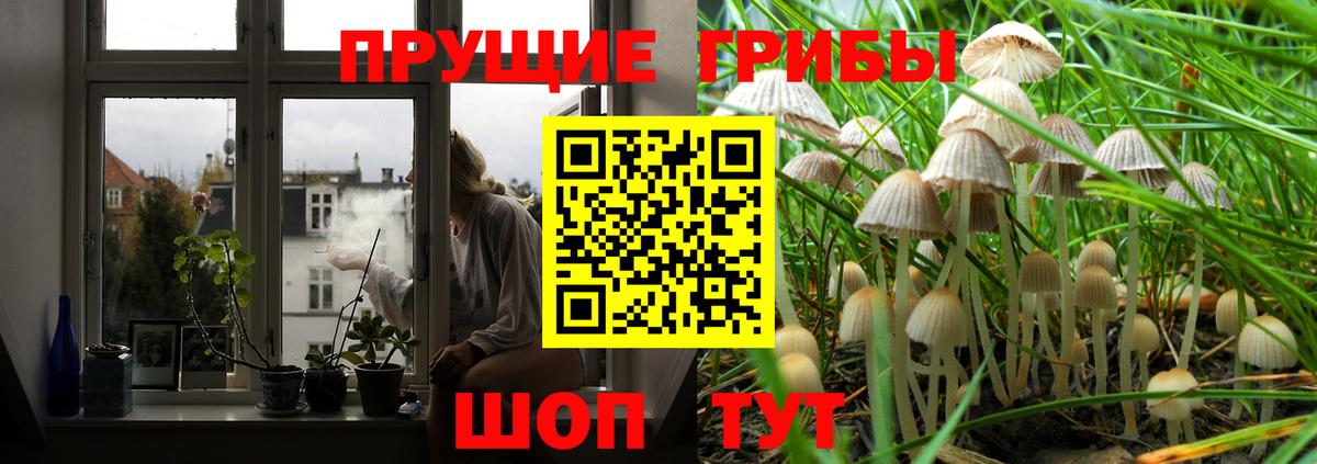Рубцовск  где продают   Вход с VPN  Галлюциногенные грибы Psilocybine cubensis  Галлюциногенные грибы Psilocybine cubensis 